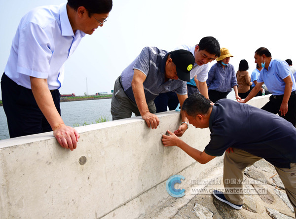 55357a2ac05ea6a7ba7f19e445fc86d.jpg 55357a2ac05ea6a7ba7f19e445fc86d.jpg