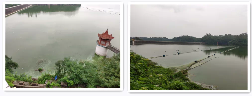 B4180048-FE04-4E2F-A15E-6481EE1E17DB.png B4180048-FE04-4E2F-A15E-6481EE1E17DB.png