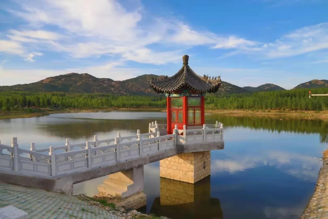 640.webp (17).jpg 640.webp (17).jpg