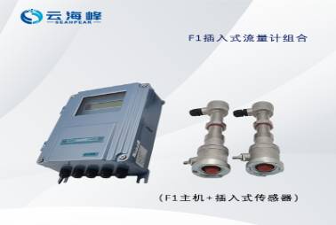 TDS-100CF1  插入式超聲波流量計(jì)